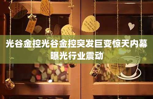 光谷金控光谷金控突发巨变惊天内幕曝光行业震动