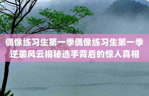偶像练习生第一季偶像练习生第一季逆袭风云揭秘选手背后的惊人真相