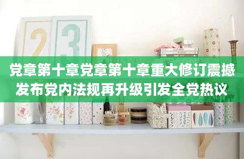 党章第十章党章第十章重大修订震撼发布党内法规再升级引发全党热议