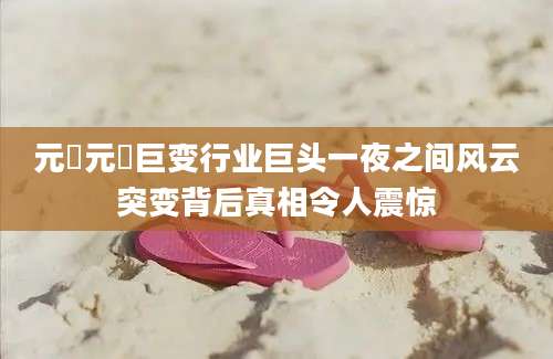 元璟元璟巨变行业巨头一夜之间风云突变背后真相令人震惊