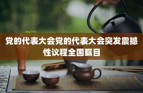 党的代表大会党的代表大会突发震撼性议程全国瞩目