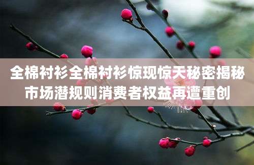 全棉衬衫全棉衬衫惊现惊天秘密揭秘市场潜规则消费者权益再遭重创