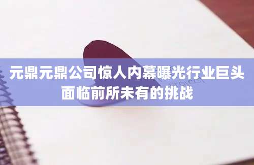 元鼎元鼎公司惊人内幕曝光行业巨头面临前所未有的挑战