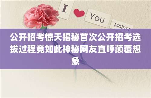 公开招考惊天揭秘首次公开招考选拔过程竟如此神秘网友直呼颠覆想象