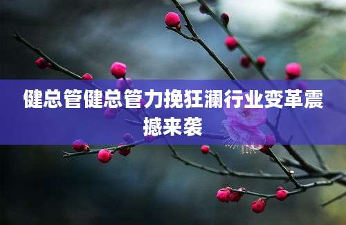健总管健总管力挽狂澜行业变革震撼来袭