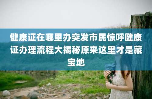 健康证在哪里办突发市民惊呼健康证办理流程大揭秘原来这里才是藏宝地