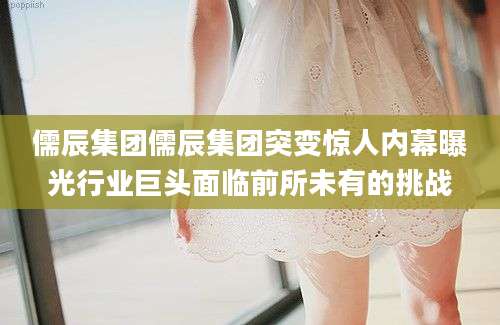 儒辰集团儒辰集团突变惊人内幕曝光行业巨头面临前所未有的挑战