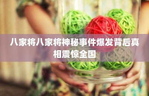 八家将八家将神秘事件爆发背后真相震惊全国