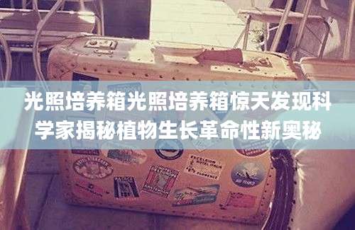 光照培养箱光照培养箱惊天发现科学家揭秘植物生长革命性新奥秘