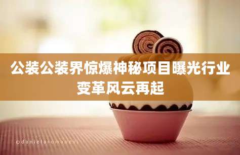 公装公装界惊爆神秘项目曝光行业变革风云再起