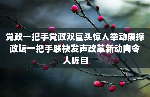 党政一把手党政双巨头惊人举动震撼政坛一把手联袂发声改革新动向令人瞩目