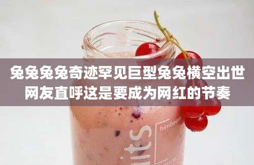 兔兔兔兔奇迹罕见巨型兔兔横空出世网友直呼这是要成为网红的节奏