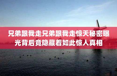 兄弟跟我走兄弟跟我走惊天秘密曝光背后竟隐藏着如此惊人真相
