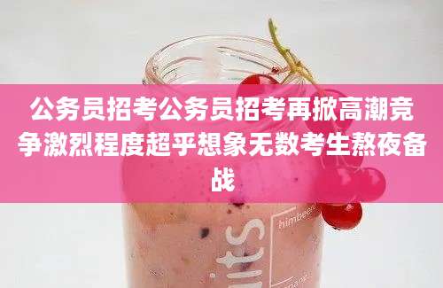 公务员招考公务员招考再掀高潮竞争激烈程度超乎想象无数考生熬夜备战