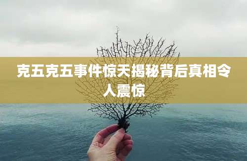 克五克五事件惊天揭秘背后真相令人震惊