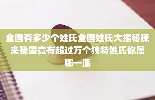 全国有多少个姓氏全国姓氏大揭秘原来我国竟有超过万个独特姓氏你属哪一派