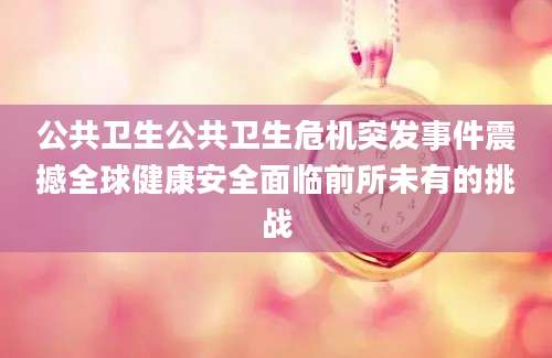 公共卫生公共卫生危机突发事件震撼全球健康安全面临前所未有的挑战