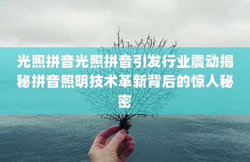 光照拼音光照拼音引发行业震动揭秘拼音照明技术革新背后的惊人秘密