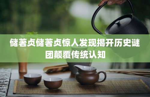 储著贞储著贞惊人发现揭开历史谜团颠覆传统认知