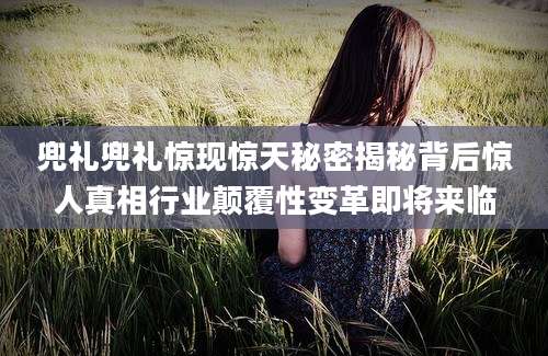 兜礼兜礼惊现惊天秘密揭秘背后惊人真相行业颠覆性变革即将来临