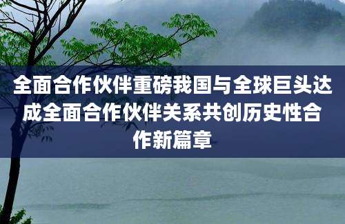全面合作伙伴重磅我国与全球巨头达成全面合作伙伴关系共创历史性合作新篇章