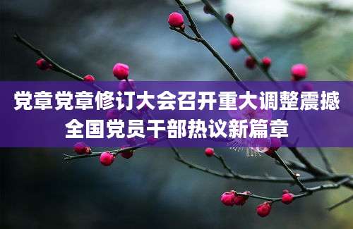党章党章修订大会召开重大调整震撼全国党员干部热议新篇章