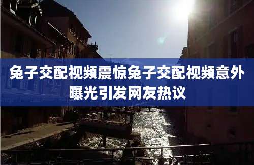 兔子交配视频震惊兔子交配视频意外曝光引发网友热议
