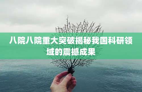 八院八院重大突破揭秘我国科研领域的震撼成果