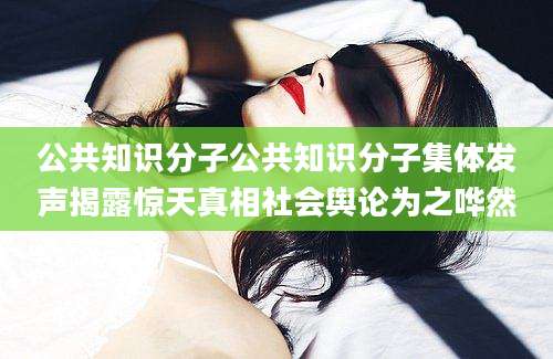 公共知识分子公共知识分子集体发声揭露惊天真相社会舆论为之哗然