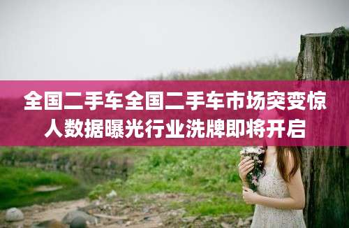 全国二手车全国二手车市场突变惊人数据曝光行业洗牌即将开启