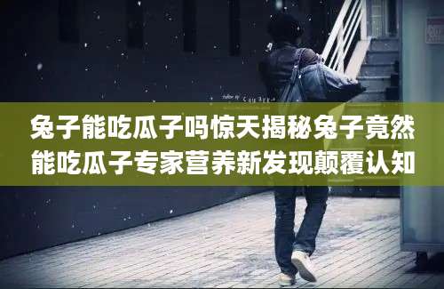 兔子能吃瓜子吗惊天揭秘兔子竟然能吃瓜子专家营养新发现颠覆认知