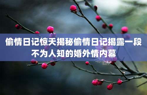 偷情日记惊天揭秘偷情日记揭露一段不为人知的婚外情内幕