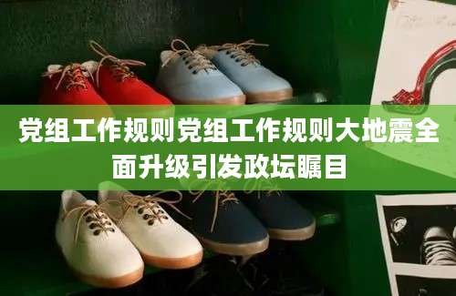 党组工作规则党组工作规则大地震全面升级引发政坛瞩目