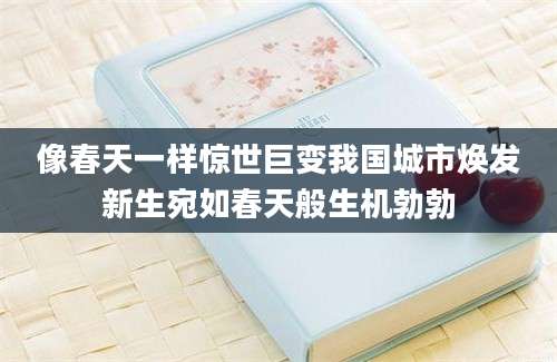 像春天一样惊世巨变我国城市焕发新生宛如春天般生机勃勃