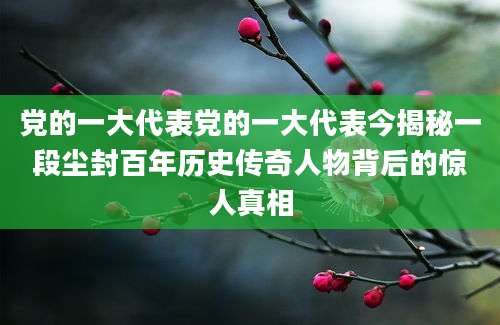党的一大代表党的一大代表今揭秘一段尘封百年历史传奇人物背后的惊人真相