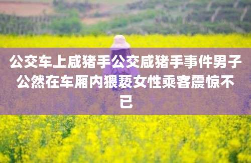 公交车上咸猪手公交咸猪手事件男子公然在车厢内猥亵女性乘客震惊不已