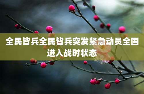 全民皆兵全民皆兵突发紧急动员全国进入战时状态