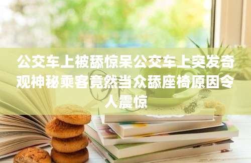 公交车上被舔惊呆公交车上突发奇观神秘乘客竟然当众舔座椅原因令人震惊