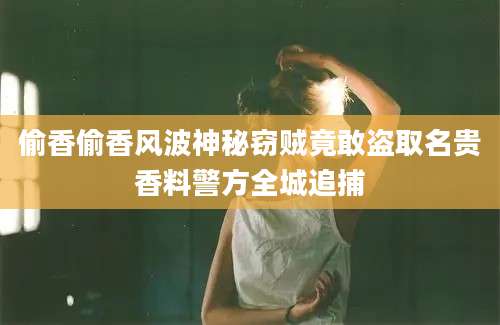 偷香偷香风波神秘窃贼竟敢盗取名贵香料警方全城追捕