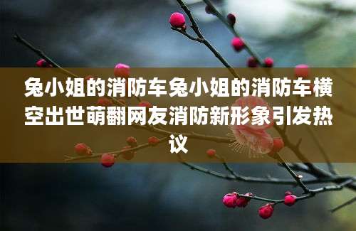 兔小姐的消防车兔小姐的消防车横空出世萌翻网友消防新形象引发热议