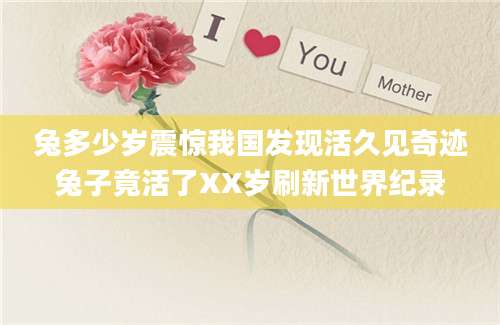 兔多少岁震惊我国发现活久见奇迹兔子竟活了XX岁刷新世界纪录