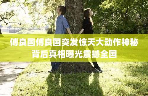 傅良国傅良国突发惊天大动作神秘背后真相曝光震撼全国