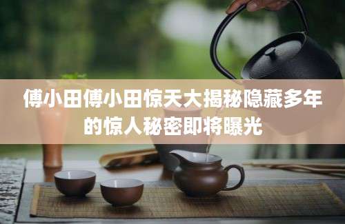 傅小田傅小田惊天大揭秘隐藏多年的惊人秘密即将曝光