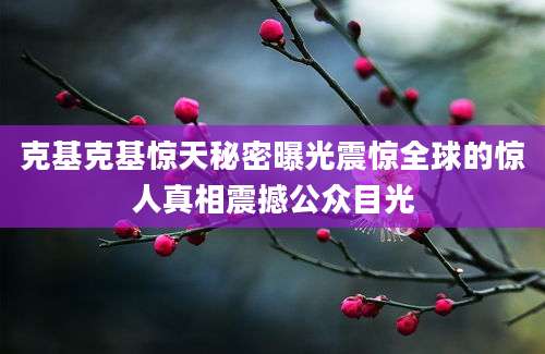 克基克基惊天秘密曝光震惊全球的惊人真相震撼公众目光