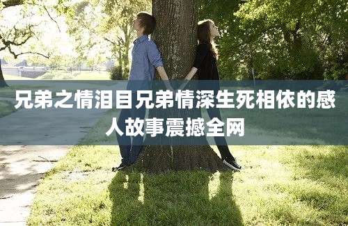 兄弟之情泪目兄弟情深生死相依的感人故事震撼全网