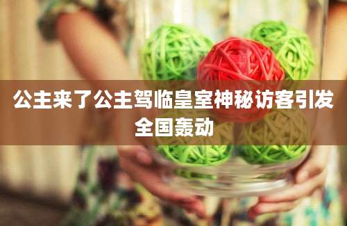 公主来了公主驾临皇室神秘访客引发全国轰动