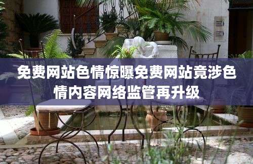 免费网站色情惊曝免费网站竟涉色情内容网络监管再升级
