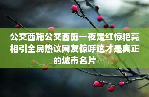 公交西施公交西施一夜走红惊艳亮相引全民热议网友惊呼这才是真正的城市名片