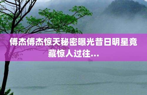 傅杰傅杰惊天秘密曝光昔日明星竟藏惊人过往...