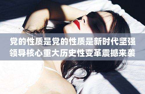 党的性质是党的性质是新时代坚强领导核心重大历史性变革震撼来袭